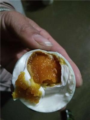 淮安80后小伙立志打造优质品牌食用蛋品的故事 - 今日头条(www.toutiao.com)