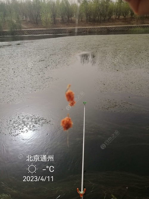 漫天黄沙 狂,我为钓鱼 忙